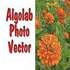 AlgoLab Photo Vector v1.98.76