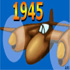 جنگ در آسمان با 1945