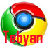 Google Chrome 2.0.156.1