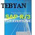 Tearch Yourself SAP R3 in 10 Minutes