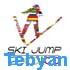 Ski Jumping 2010