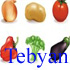 Vegetables Vector