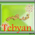 نور الهدی
