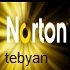 Norton Antivirus 2011 Final