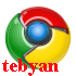 Google Chrome 12.0.742.112 All In One