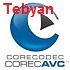 CoreAVC Professional Edition 3.0 Final