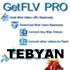 GetFLV Pro 9.0.5.5 Multilingual
