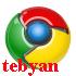 Google Chrome 14.0.835.187 - مرورگر 