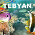 Tropical Fish 1.1.0.6