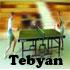 بازی تنیس روی میز Table Tennis Pro