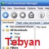 Free Download Manager 3.8 build 1173 - مدیریت دانلود