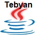 Java Runtime Environment 7.0.3