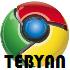 مرورگر گوگل کروم، Google Chrome 17.0.963.79 Final