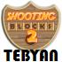 بازی دیدنی و سرگرم کننده Shooting Blocks 2