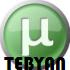 مدیریت دانلود، uTorrent 3.1.3