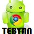 مرورگر گوگل کروم 18 نسخه اندروید، Chrome 18.0.1025.12 Final