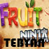 بازی نینجای میوه نسخه کامپیوتر، Fruit Ninja 1.6.1