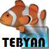 محافظ صفحه نمایش ماهی های زیبا، Tropical Fish 3D Screensaver 1.2 Build 7