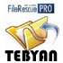 بازیابی اطلاعات، FileRescue Pro 4.8 Build 197