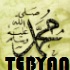 مجموعه تصاویر زیبا و با کیفیت بالا با موضوع پیامبر اکرم (ص)