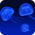 محافظ صفحه نمایش عروس دریایی، Jellyfish Screensaver