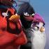 دانلود بازی جدید و متفاوت Angry Birds Evolution 1.21.0 برای اندروید