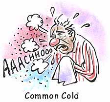 فردی که سرماخورده چه باید و چه نباید بخورد؟