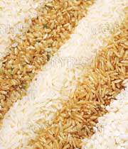نتیجه تصویری برای پروتئین برنج