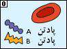 تعیین گروه خون