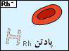 تعیین گروه خون