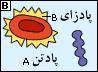 تعیین گروه خون