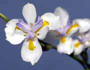 شاگردان مكتب امام صادق علیه السلام