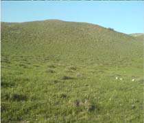 دانستنی های گردشگری اسفراین