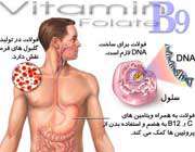 نقش اسید فولیک در بدن