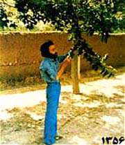 سهراب سپهری