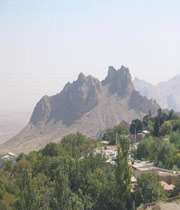 نیاسر