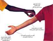 حس لامسه