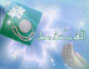 imam ali