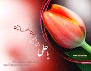 ali ibn al-husayn zaynul abidin