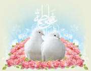 ازدواج دو نور ازدواج دو نور