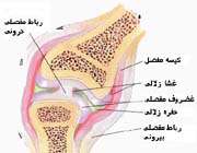 مفصل زانو