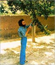 سهراب سپهری