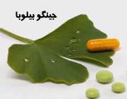 جینگو بیلوبا