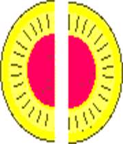 خرگوش