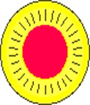 خرگوش