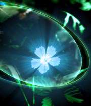 حضرت خدیجه(س)