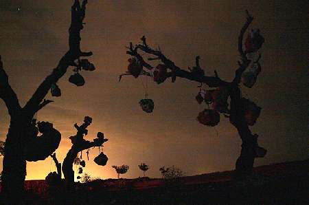 باغ سنگی سیرجان