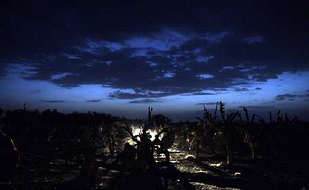 باغ سنگی سیرجان