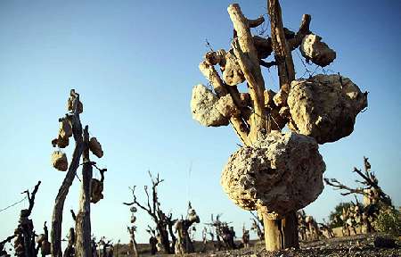 باغ سنگی سیرجان