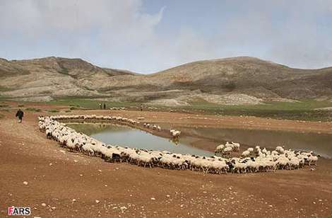 درفک